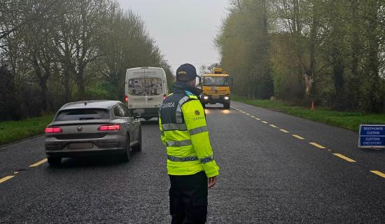 BREAKING: Gardai make 25 arrests during &lsquo;Day of Action&rsquo; in Limerick town