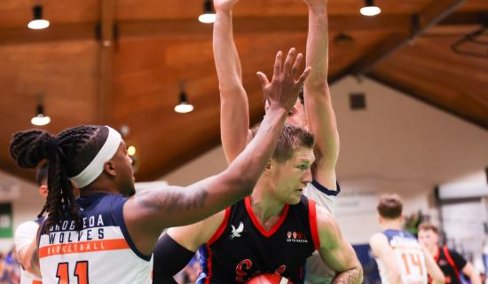 Limerick Sport Huskies path to the Domino's Division One play-off final