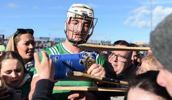 PICTURES: Limerick hurling supporters celebrate league final victory