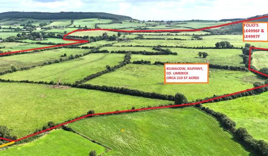Dairy farmer wins the day at multimillion-euro auction of 210 acre Limerick farm