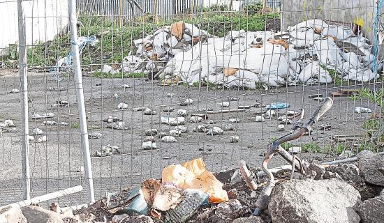 Cost of tackling illegal dumping across Limerick is revealed