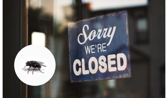 'Covered with flies' - Limerick takeaway ordered to close amid health concerns