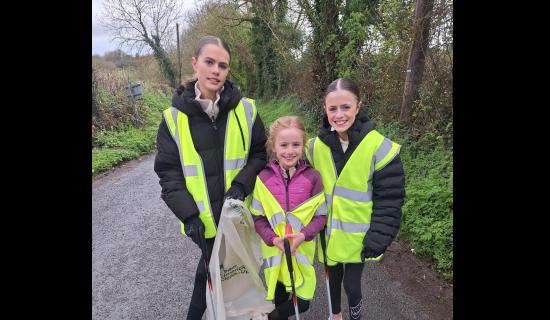 PICTURES: Volunteers give lots of TLC to their local community in Limerick