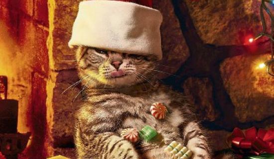 &lsquo;Tis the season to overindulge