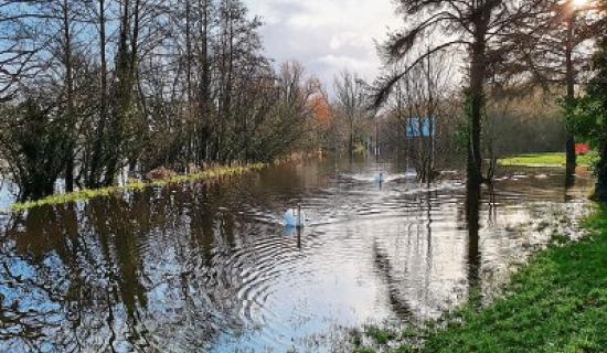 Out in the Open: The Field: the real story behind the play