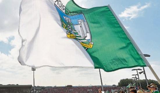 Winners announced in&nbsp;new Limerick Sports Star awards