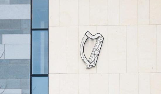 'A very significant animal cruelty case': Limerick farmer faces 173 charges over dead calves