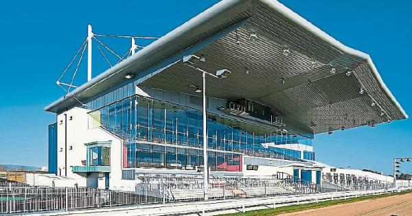 limerick greyhound track