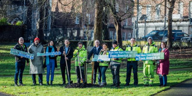 Registry opens for counting of new trees planted in Limerick
