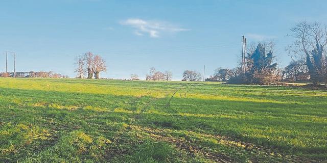 &lsquo;Field of Dreams&rsquo; put up for sale in Limerick, guided at &euro;750,000