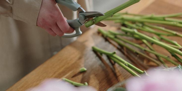 Green Fingers: Blooming good ideas for cut flowers