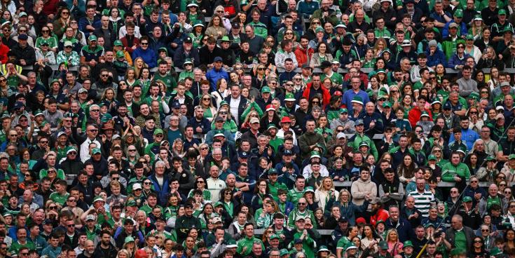 Sriracha Rebels V Guacamole Greens: A wild Munster hurling final night in Limerick