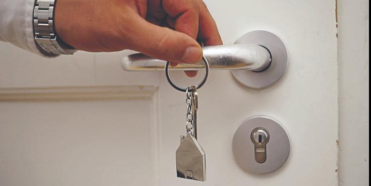 Limerick tenants face 'impossible' choice between pet and home