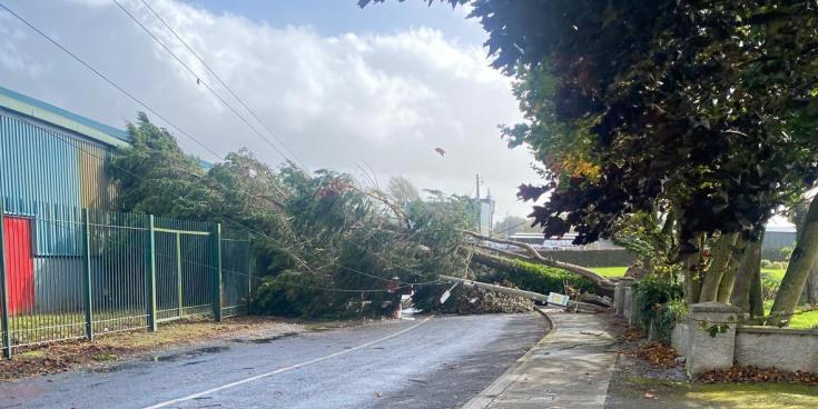BREAKING: Tree and ESB pole crash down on to car in Limerick during Storm Amy