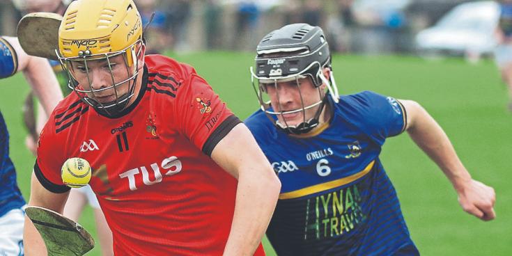 Team-by-team guide to the three Limerick schoools in this season's Dr Harty Cup