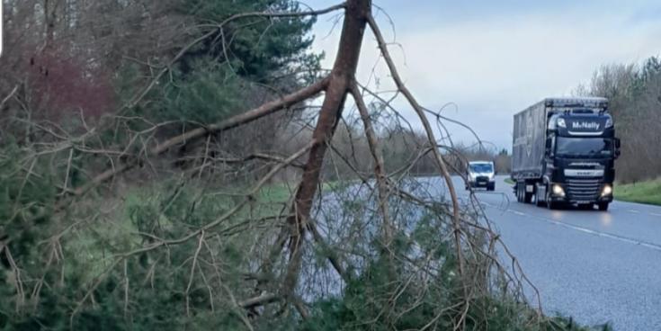 Council crews response to multiple Storm Bram incidents in Limerick