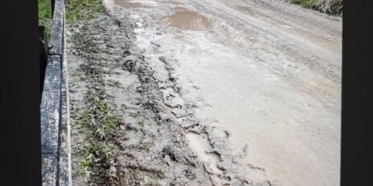 Concerns raised over damage to approach road and historic bridge in Limerick town