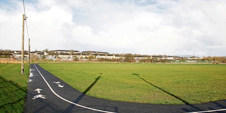 Strategy reveals Limerick park could accommodate 500 new homes