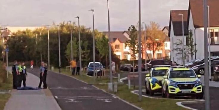 Praise for man who strangled dangerous pitbull following vicious attack in Limerick estate