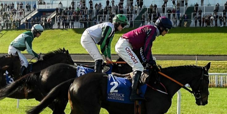 Limerick Racecourse set to host Irish Cheltenham Raceday Experience on March 12