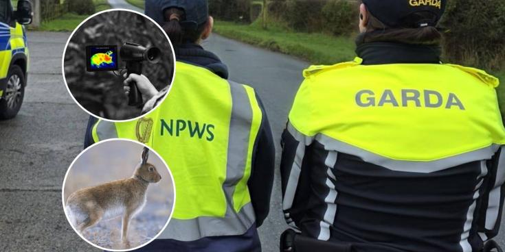 LONG READ: Inside the 'seasonal scourge' terrorising rural landowners across Limerick