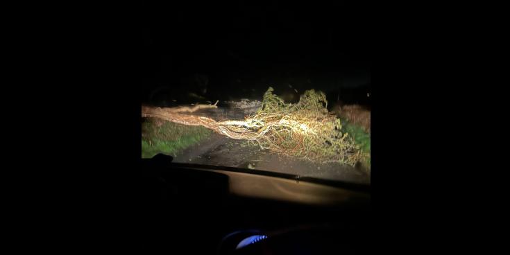 High winds cause localised impacts across Limerick overnight