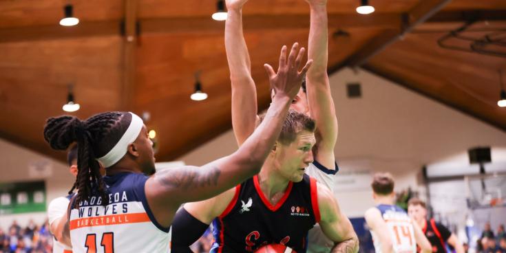 Limerick Sport Huskies path to the Domino's Division One play-off final