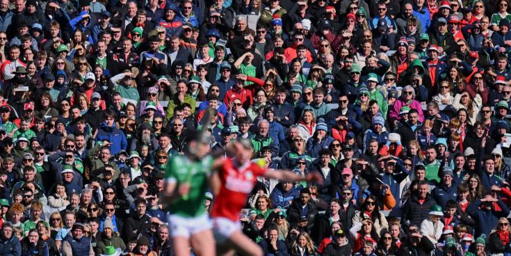 TLC success and league finals show Limerick at full strength