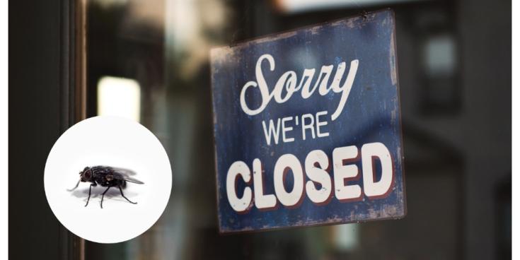 'Covered with flies' - Limerick takeaway ordered to close amid health concerns