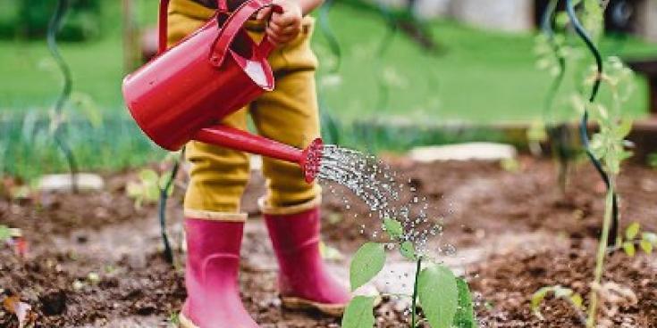 Green Fingers: Getting kids involved in the garden