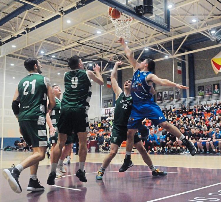 SLIDESHOW UL Sport Eagles win Limerick's Basketball derby Photo 1 of