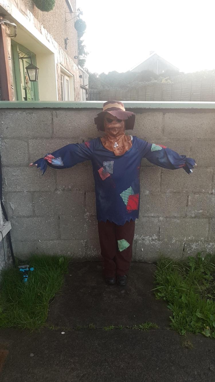 Trick or Treat! Limerick children show off their Halloween costumes