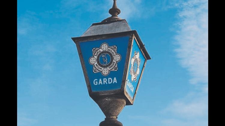 Garda&iacute; found &euro;40,000 worth of drugs in Limerick man&rsquo;s council house