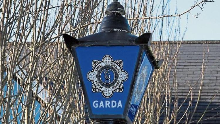 BREAKING: Two arrested as huge amount of drugs seized in Limerick village and north Cork town