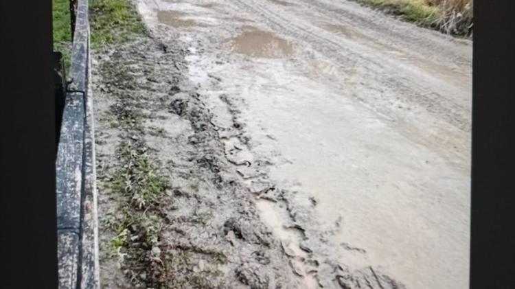 Concerns raised over damage to approach road and historic bridge in Limerick town