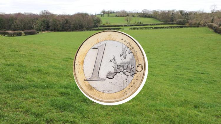 Council to dispose of small piece of land in County Limerick for just &euro;1