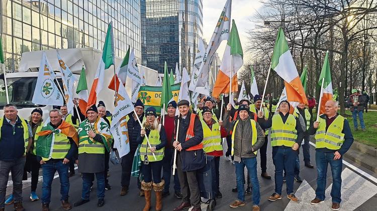 Limerick IFA flag waved proudly at huge farmer protest in Brussels