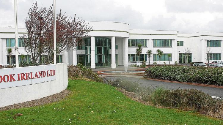 Limerick businesses urged to join campaign to support inclusive workspaces