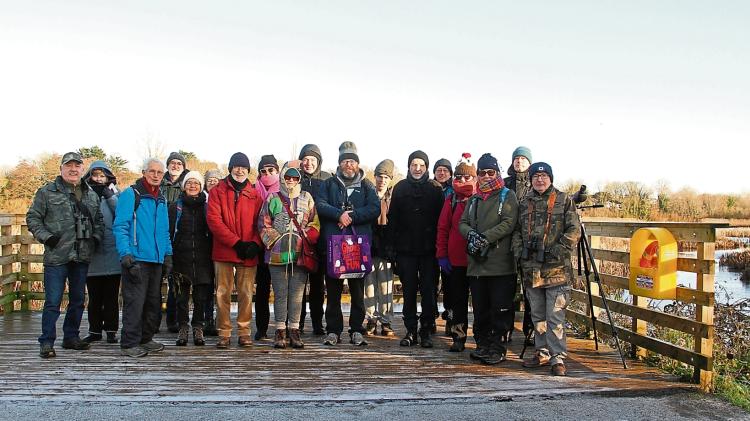 Frost, feathers and family traditions with Limerick Birdwatch