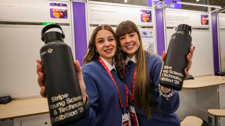 Following in the Collison brothers' footsteps: Limerick students earn their stripes