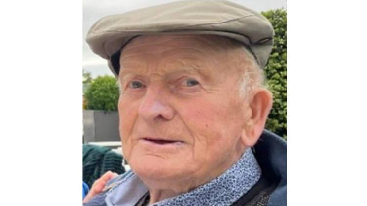 'Huge loss to the historical and literary world': Tributes paid to farmer, 90s, attacked by cow in Limerick