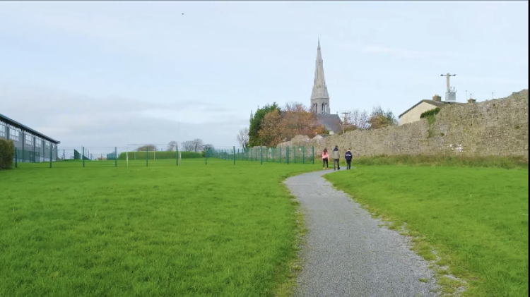 Calls to 'brighten' walkways in Limerick town will depend on wildlife survey results