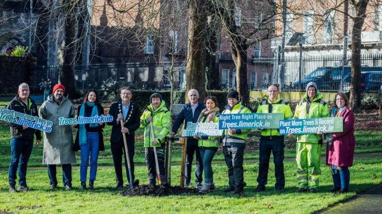 Registry opens for counting of new trees planted in Limerick