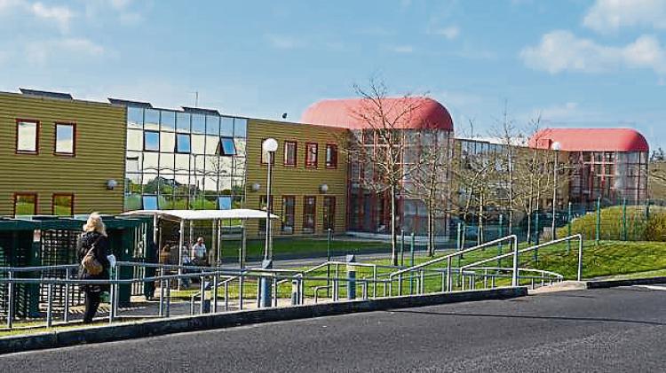 Call for Government support following job losses in Limerick