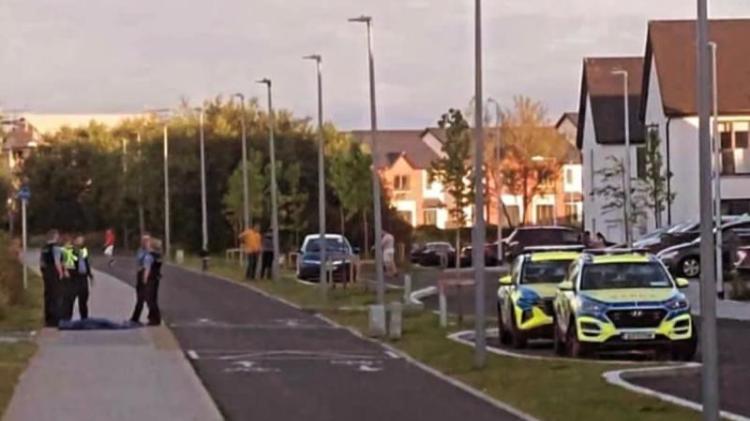 Praise for man who strangled dangerous pitbull following vicious attack in Limerick estate