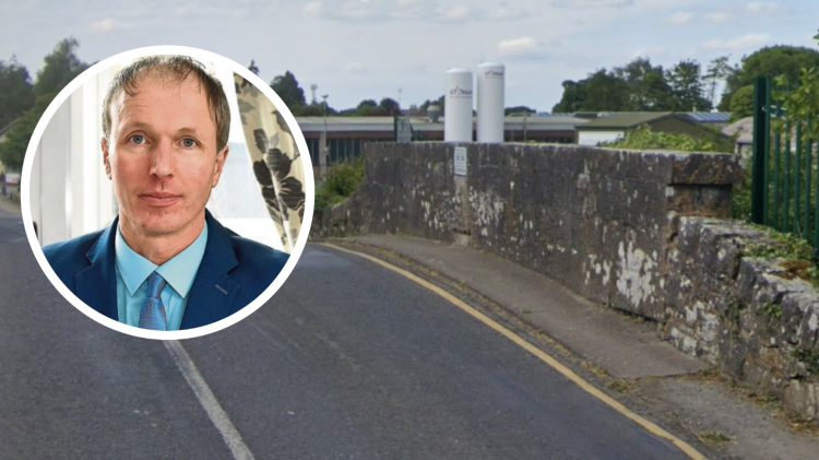 Calls for pedestrian bridge in busy Limerick town amid &lsquo;highly dangerous&rsquo; road