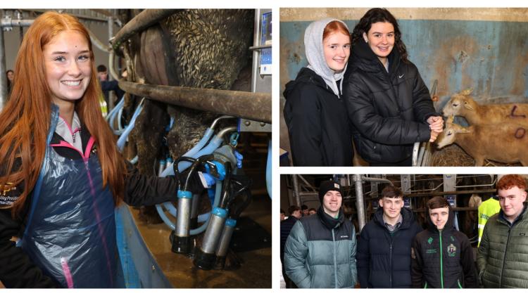 PICTURES: Future farmers? Limerick students explore the agricultural world