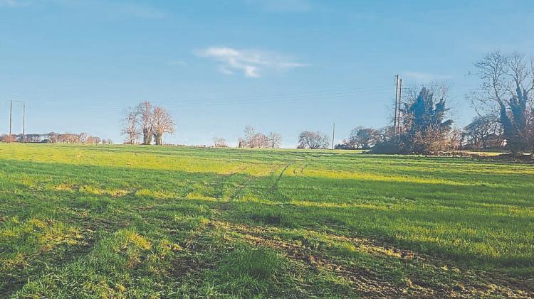 &lsquo;Field of Dreams&rsquo; put up for sale in Limerick, guided at &euro;750,000