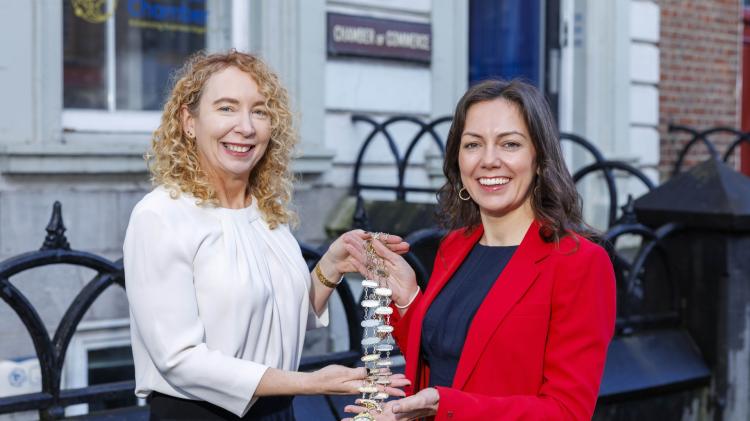 Boss of marketing agency becomes new president of Limerick Chamber