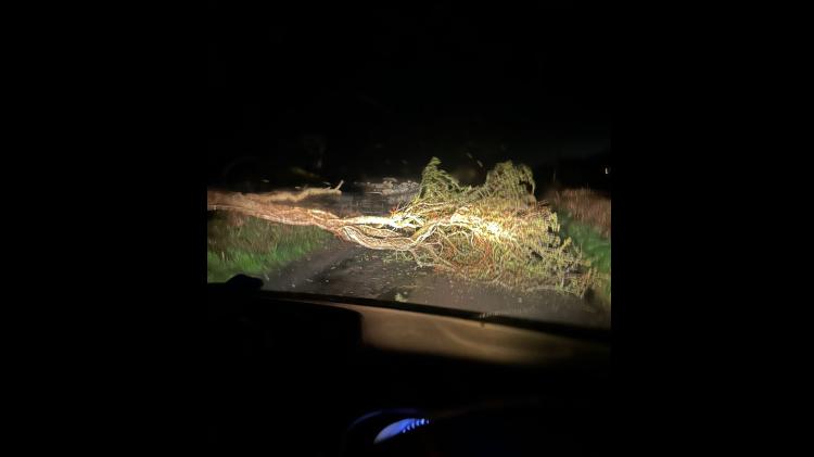 High winds cause localised impacts across Limerick overnight